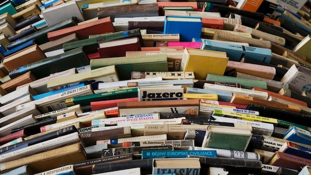 Shopping the 'vicious compliance section': Stores see sales spike after Alberta book ban