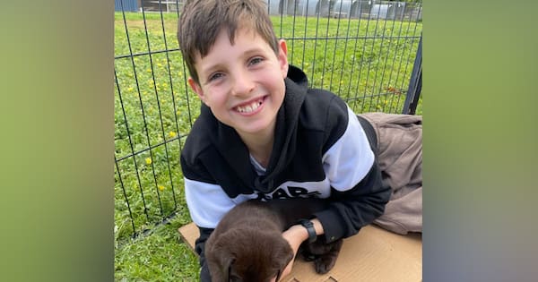 Grieving parents dismayed after killer Melbourne driver goes free