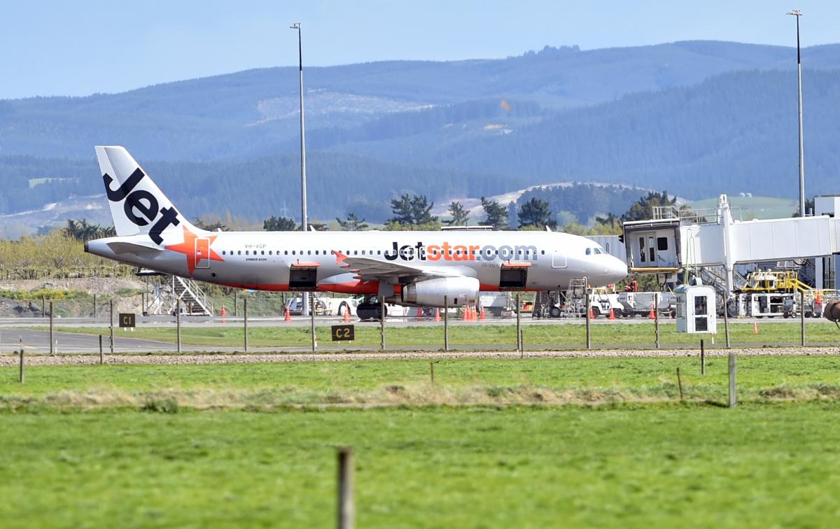 Bird-strike leaves passengers stranded in Dunedin