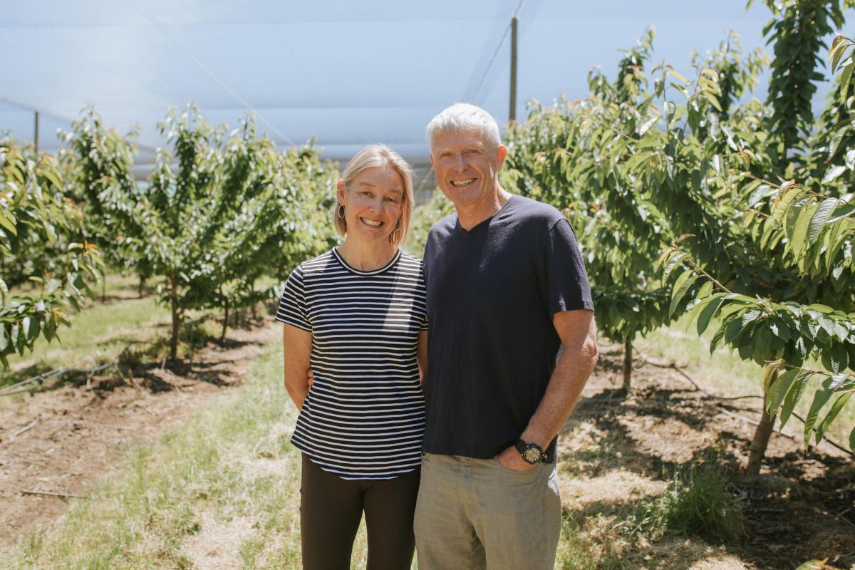 Land sold to gold miner listed on Trade Me