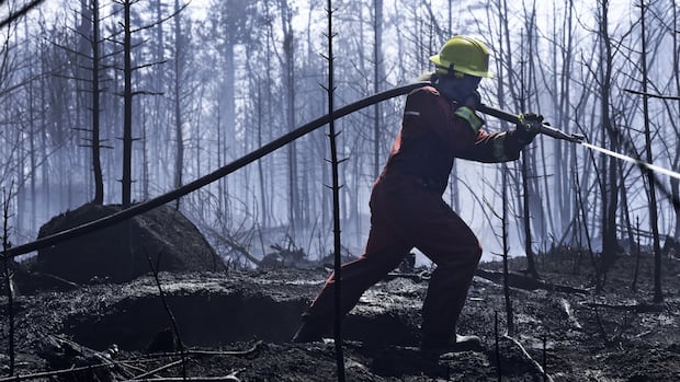 'I didn't expect anything to be left,' says firefighter of Long Lake effort