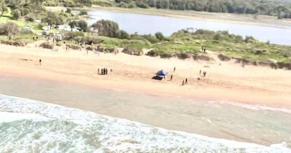 Surfer dad killed by shark on eve of Father’s Day