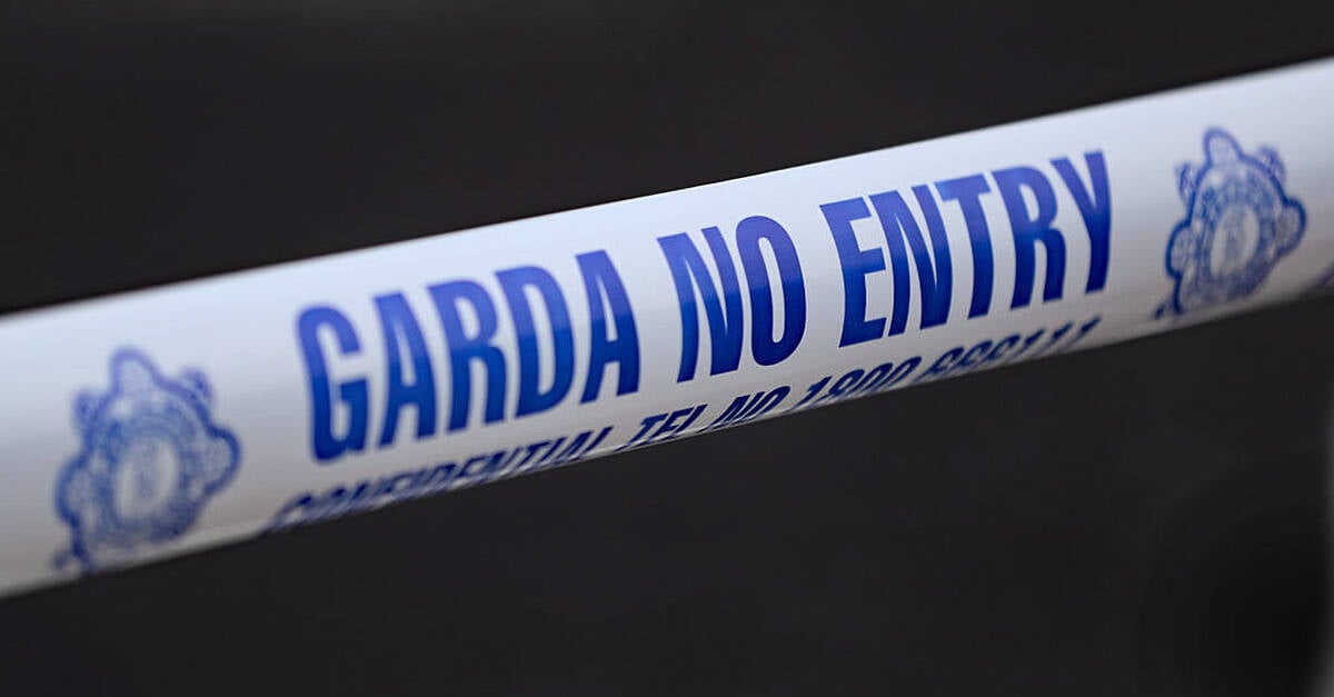 Man (40s) dies in dumper truck accident in Cork