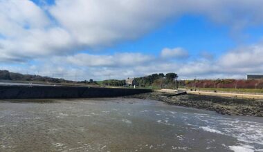 Man rescued in multidisciplinary operated after going overboard on Tarbert ferry