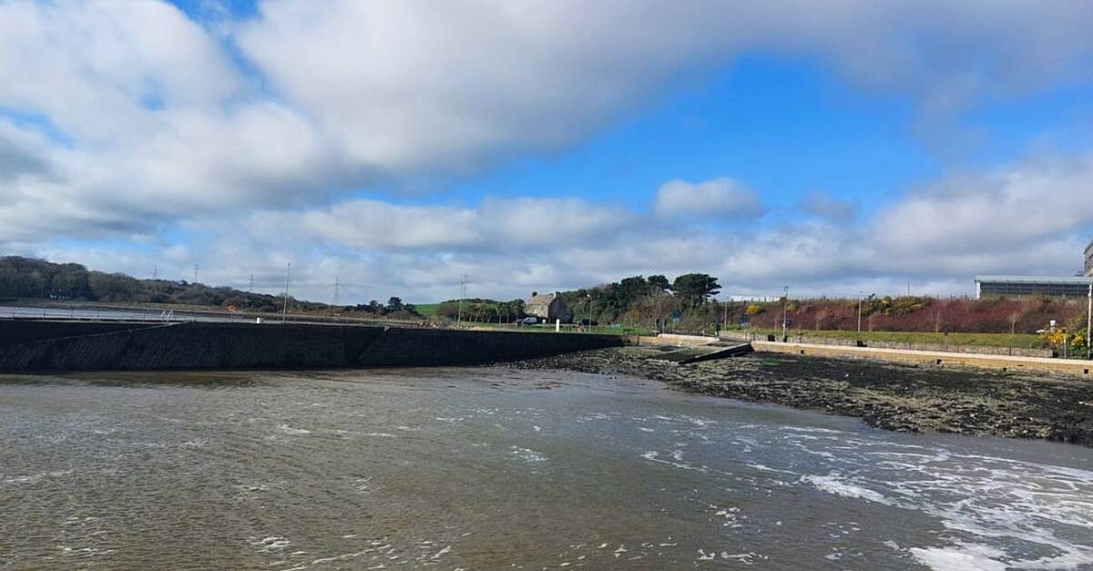 Man rescued in multidisciplinary operated after going overboard on Tarbert ferry