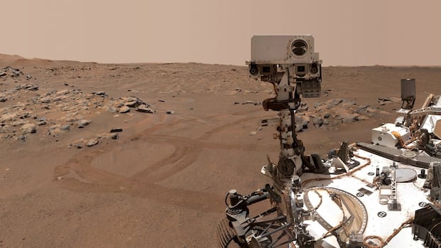 NASA rover finds strongest evidence yet of ancient life on Mars