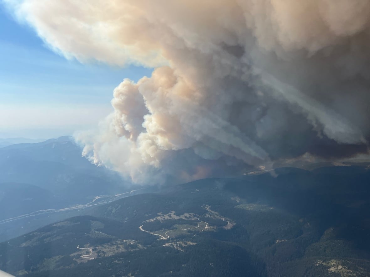 Large plumes of smoke from a wildfire are seen from above.