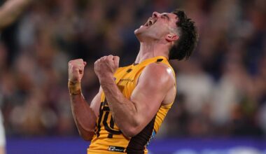 Hawk's hot streak rolls on, Lions share votes