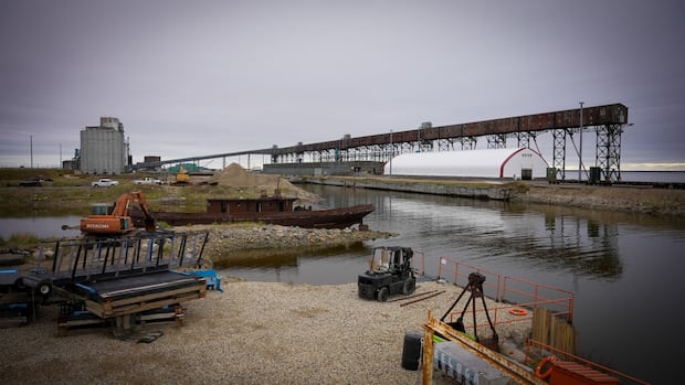 Churchill, Man., residents torn between port expansion, tourism as Ottawa considers nation-building proposal