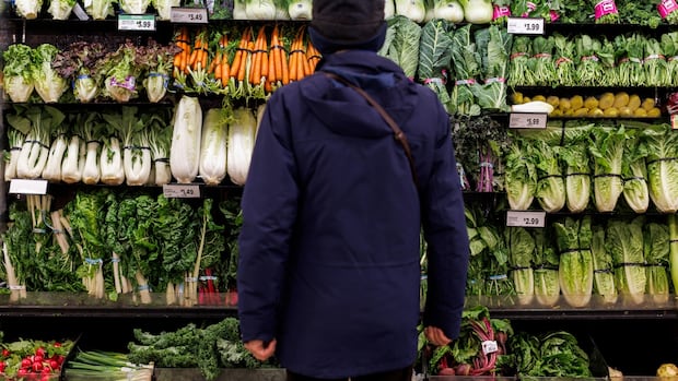 Can a non-corporate grocery chain work across Canada?