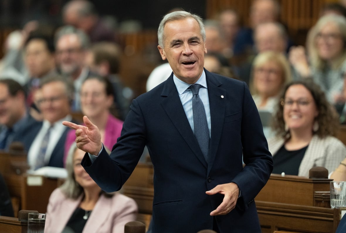 Prime Minister Mark Carney rises during Question Period, on Parliament Hill in Ottawa, Monday, Sept. 15, 2025.