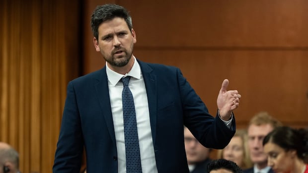 Government to table bill Friday criminalizing use of certain symbols to promote hate