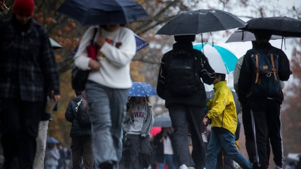 With a drop in international students, campuses are seeing class waitlists, course cuts and fewer researchers