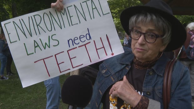 St. John's protesters 'Draw the Line' against parts of Carney's agenda