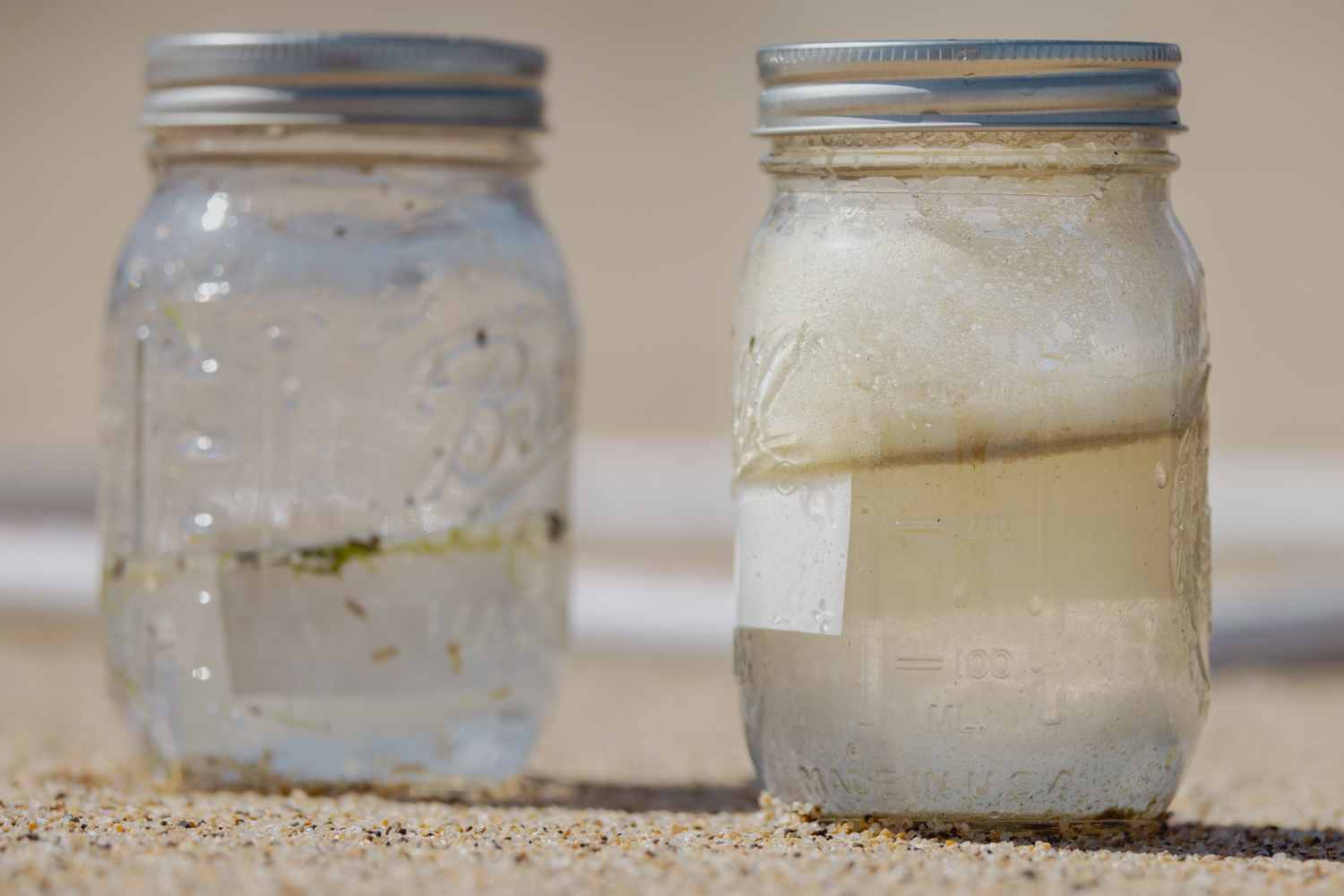 Microplastic samples