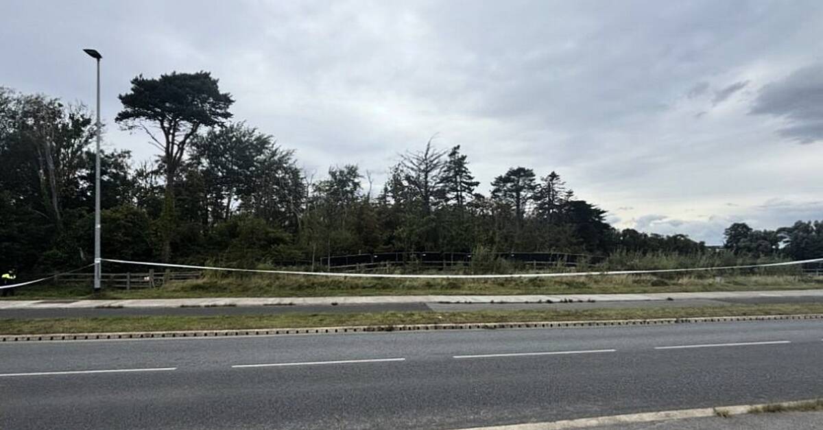 Search for missing boy feared dead continues in Dublin