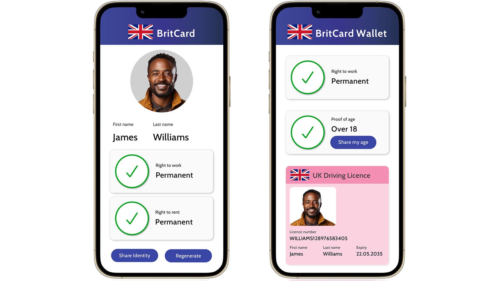 A BritCard proposed by Labour Together. Pic: Labour Together