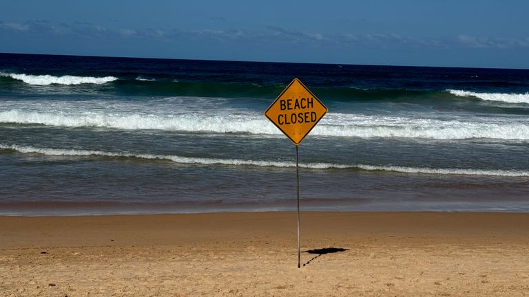 Pic: Sky News Australia