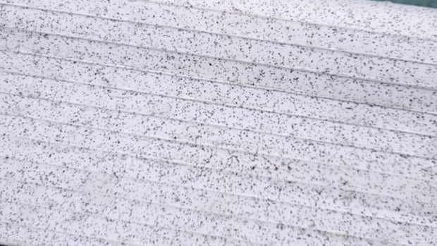 Investigation underway after smelter dust located on properties in Greater Sudbury