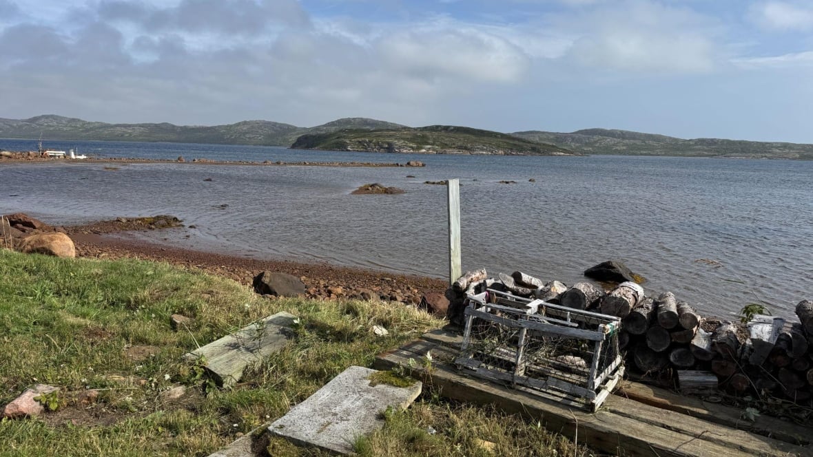 A body of water and mountains in the background
