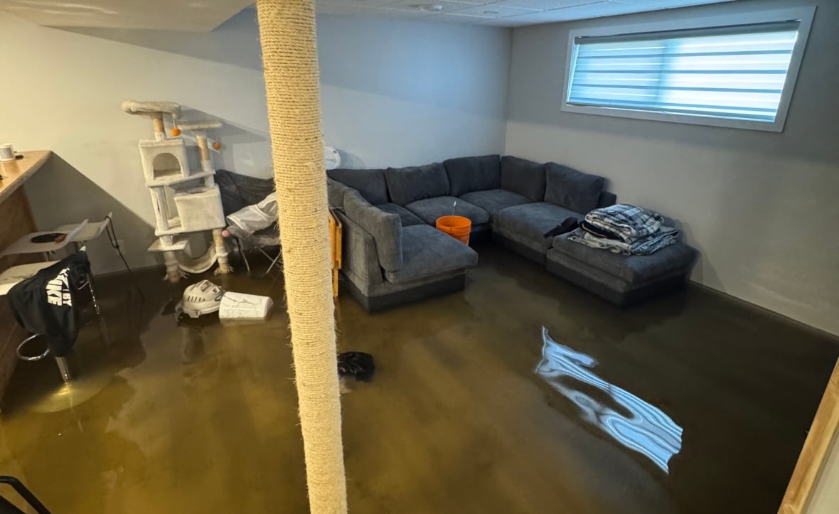 A basement with a sofa and other furniture whose floor covered in water.