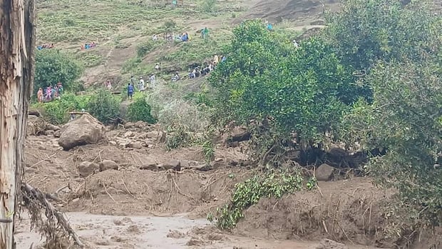 At least 1,000 dead after landslide in Sudan's Darfur wipes out village