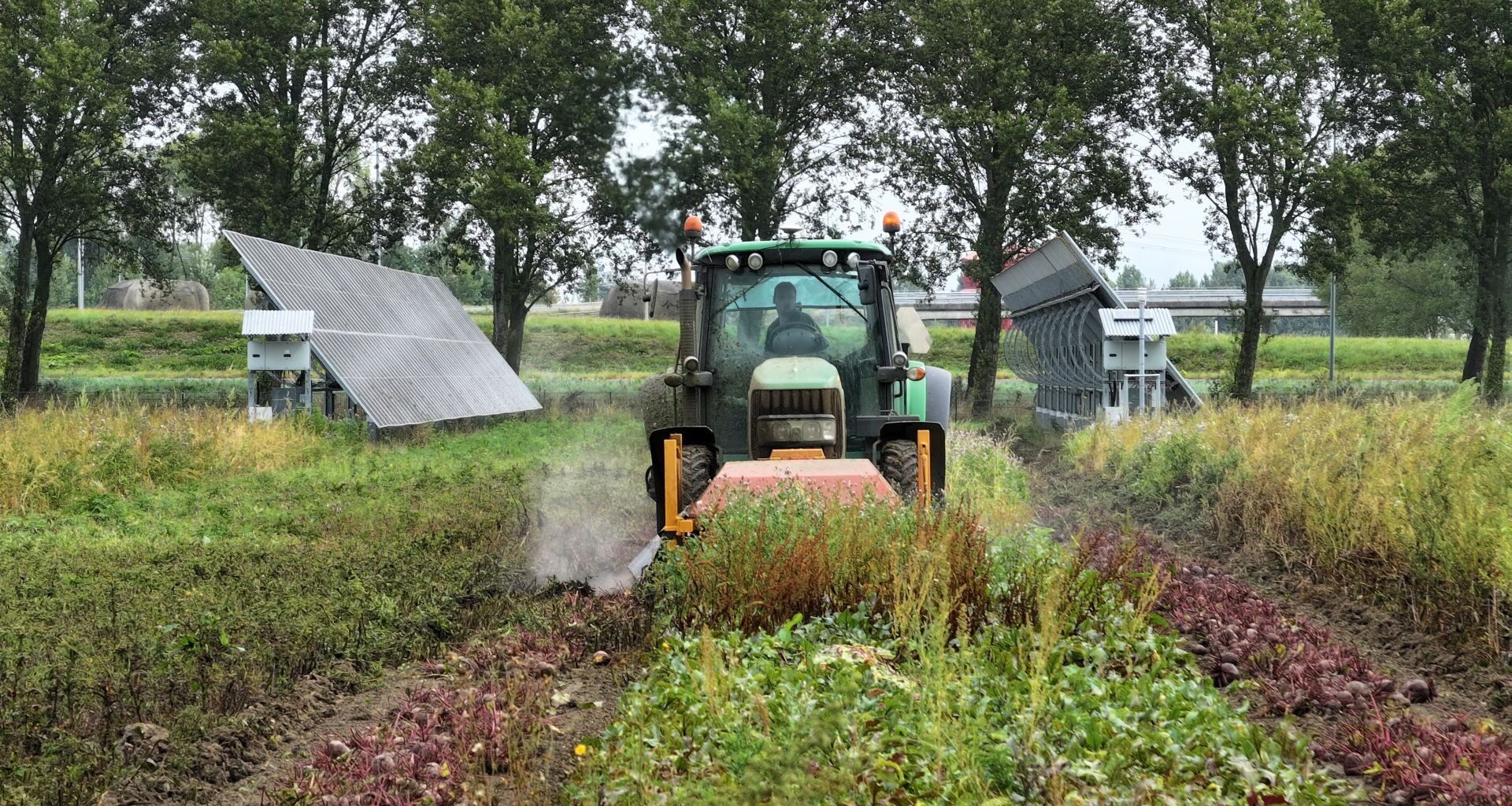 Energy and food production reinforce each other at Symbizon