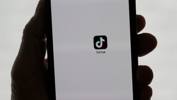 Privacy commissioners find TikTok collected sensitive data from Canadian children