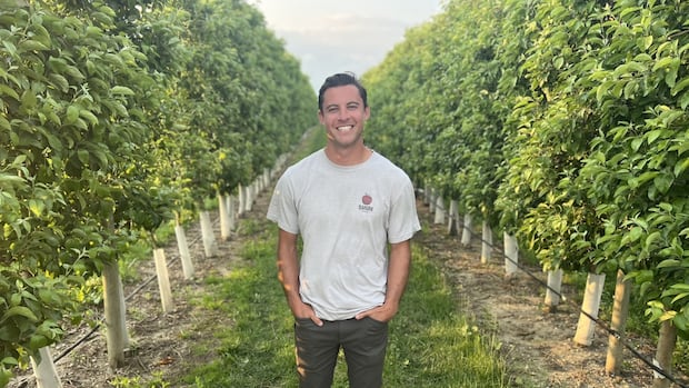 Ontario orchard bans strollers, wagons and backpacks after some 500 pounds of apples stolen