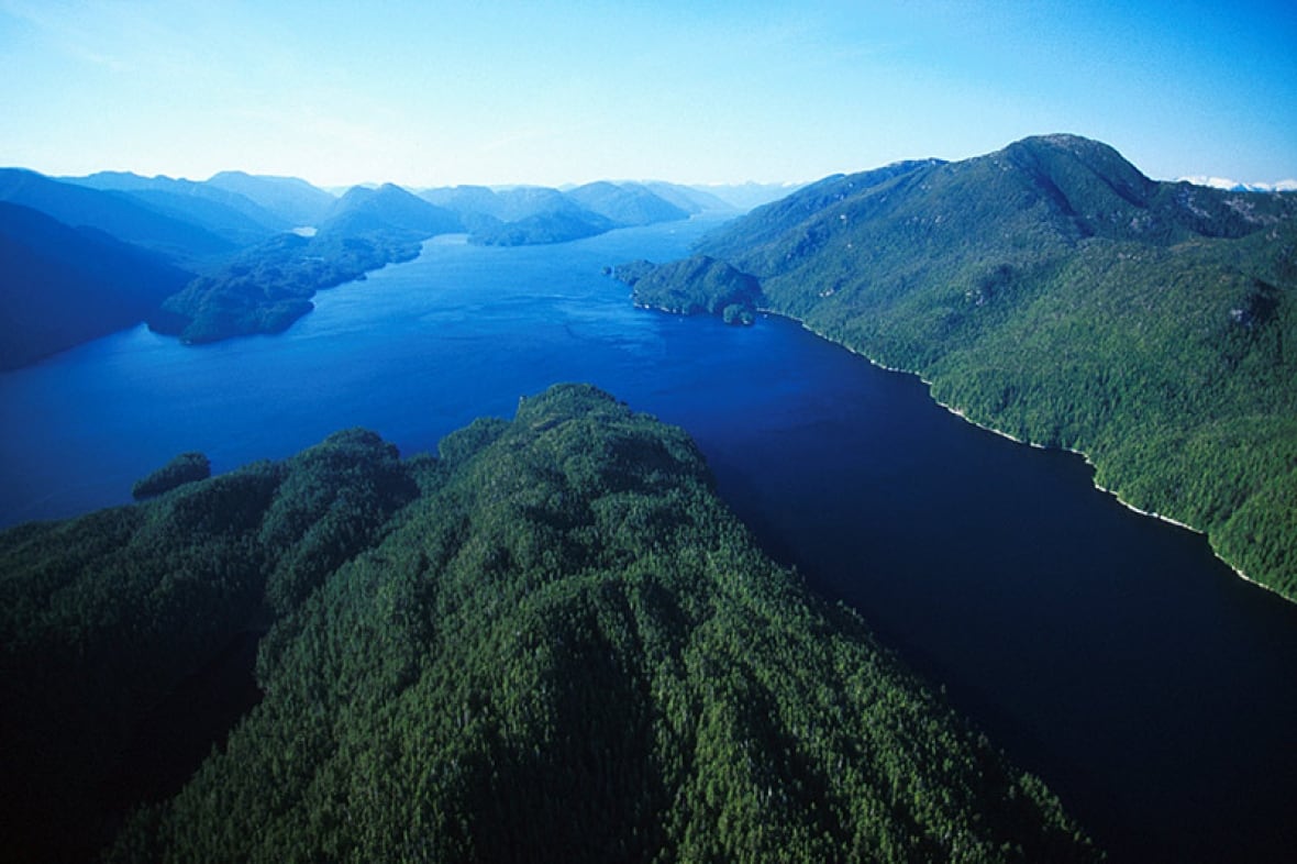A photo from the sky shows tree-covered moutains and blue waterways 