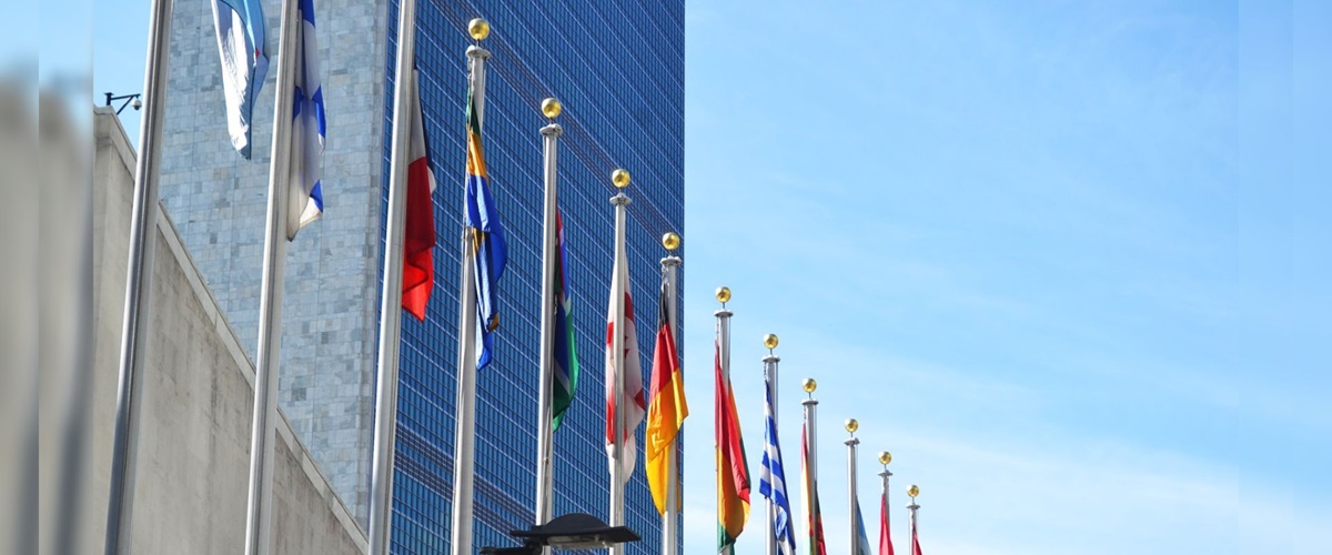 WHO at the United Nations General Assembly 2025