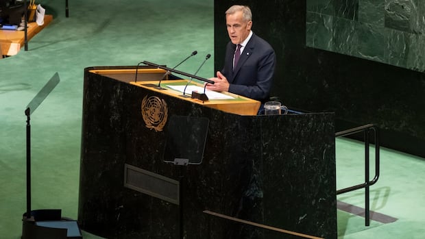 During New York visit, Carney says Canada 'has what the world wants' at a critical time