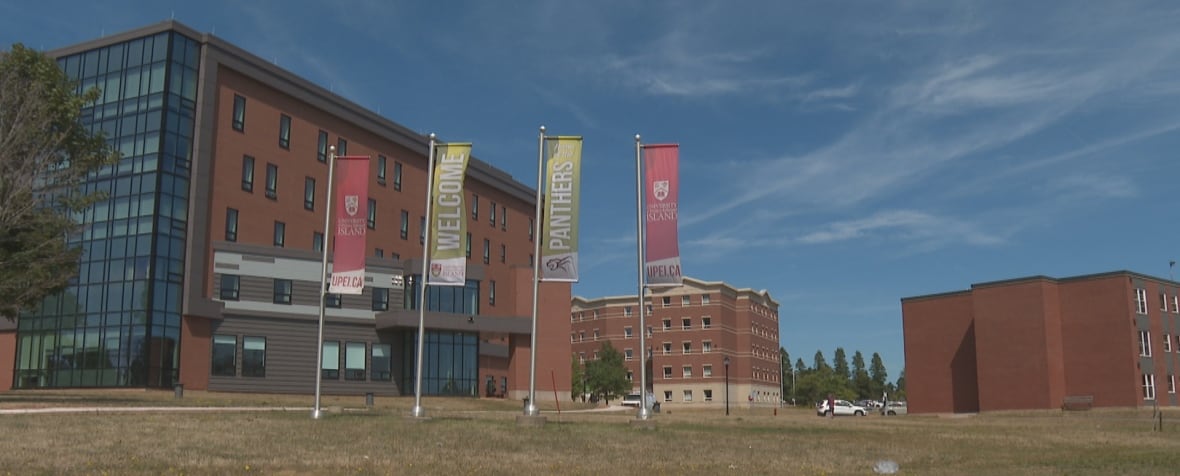Red brick buildings and colourful flags on a university campus. 