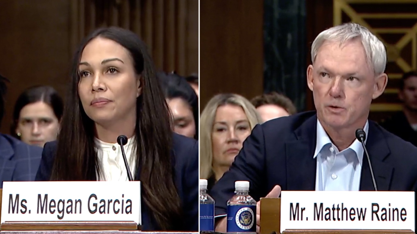 Their teen sons died by suicide. Now, they want safeguards on AI : Shots