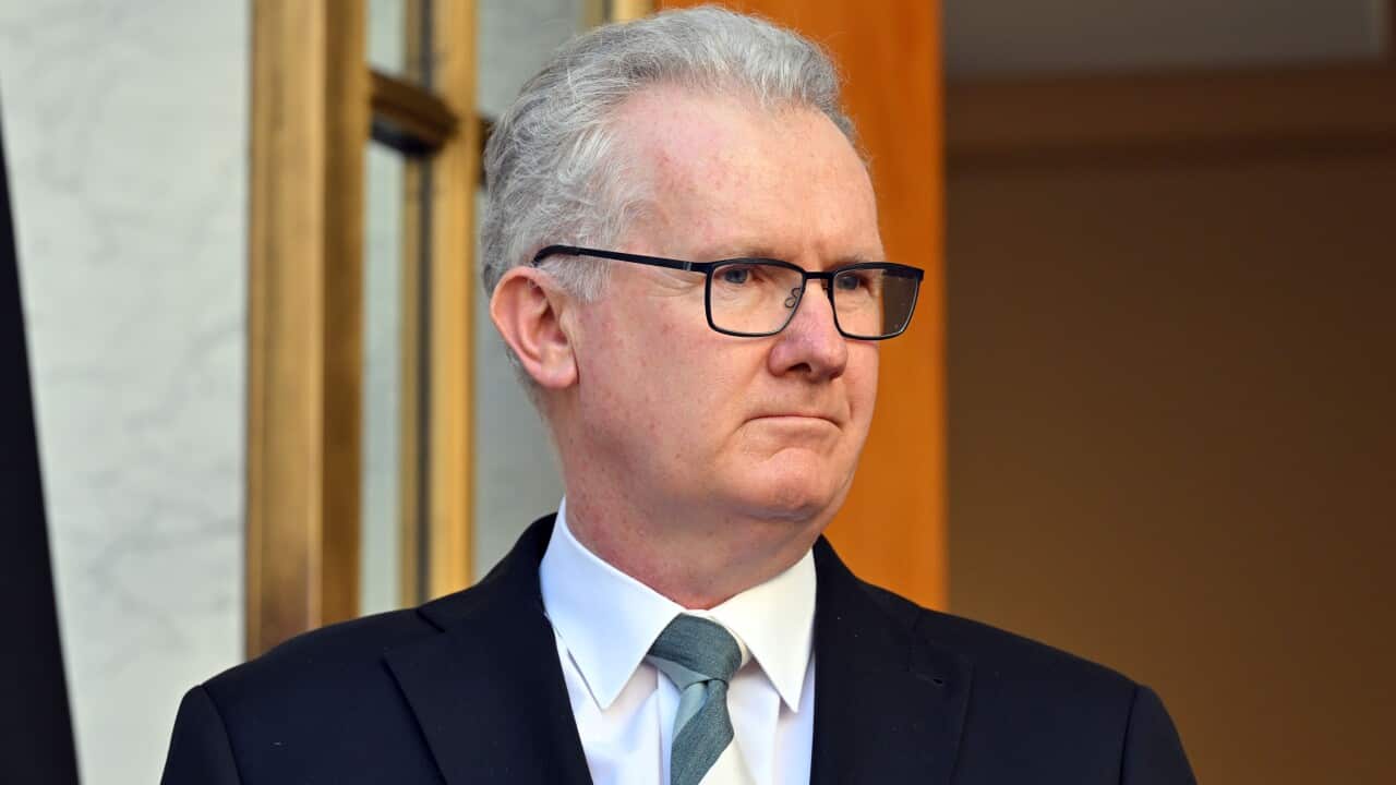 A man wearing a suit, a tie, and glasses.