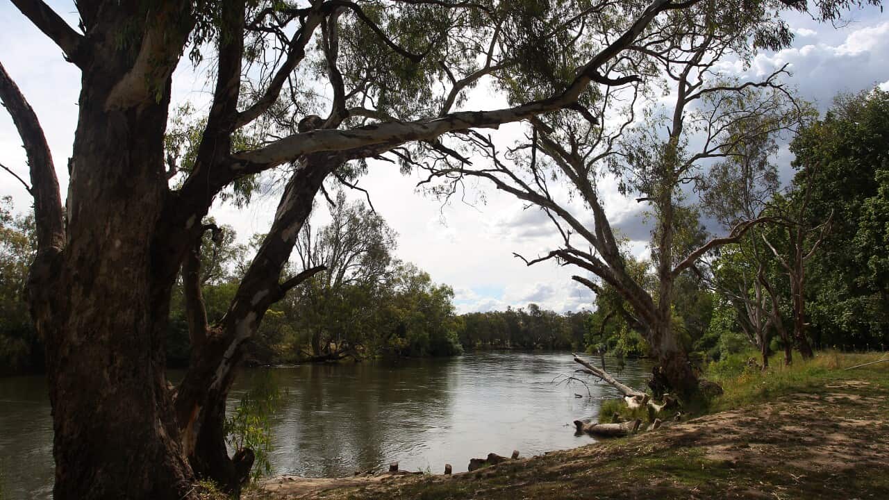 The Murray River at Albury.