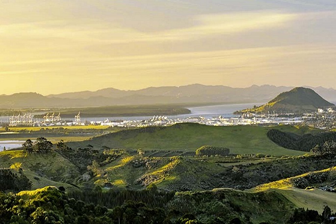 SunLive - Tauranga celebrates welcoming week milestone