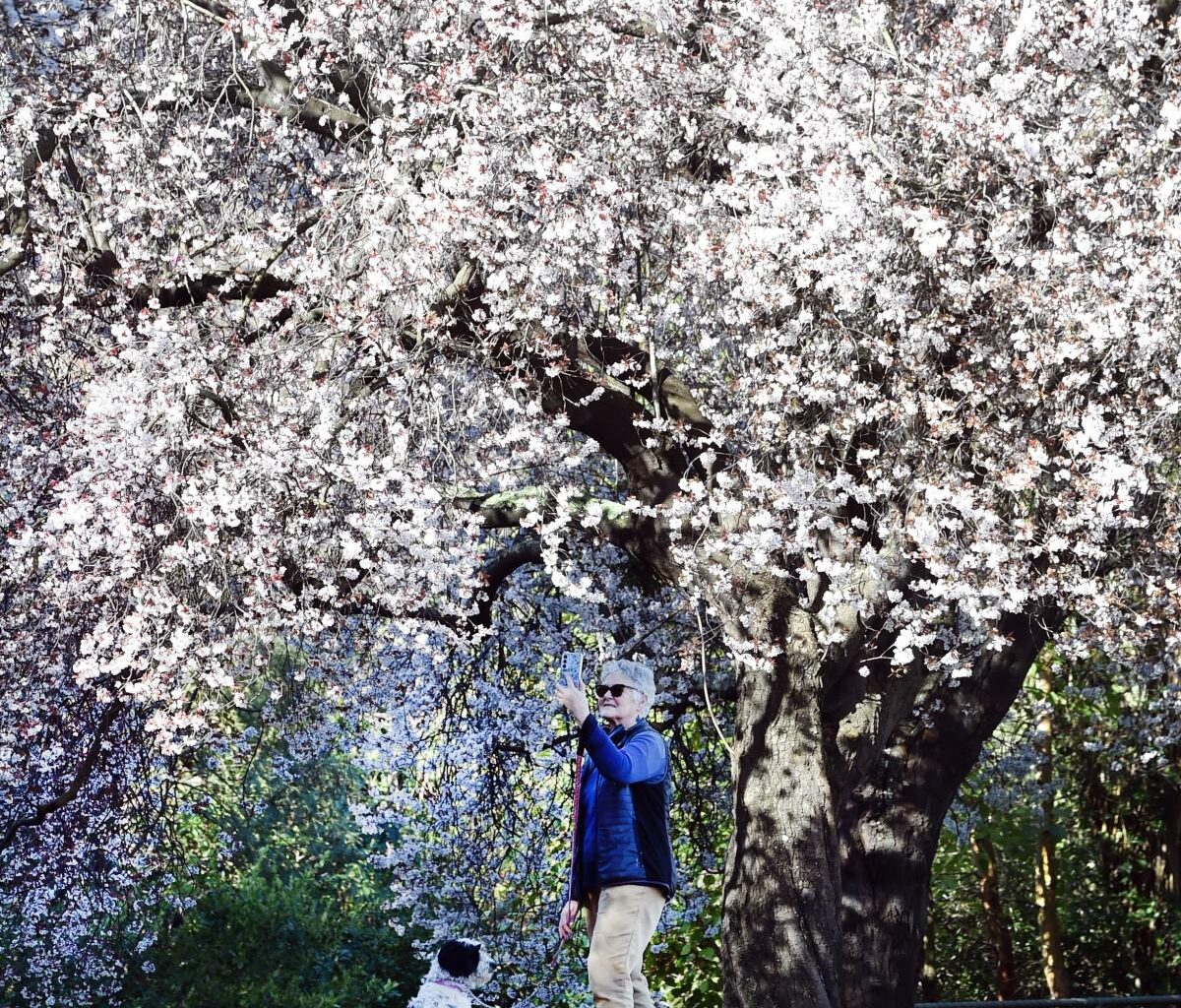 Dry, warm spring predicted | Otago Daily Times Online News