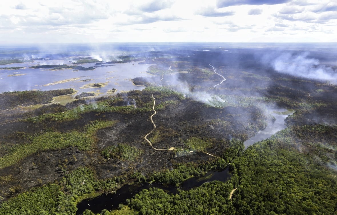 An aerial photo of woods with parts that are burnt and smoke rising.