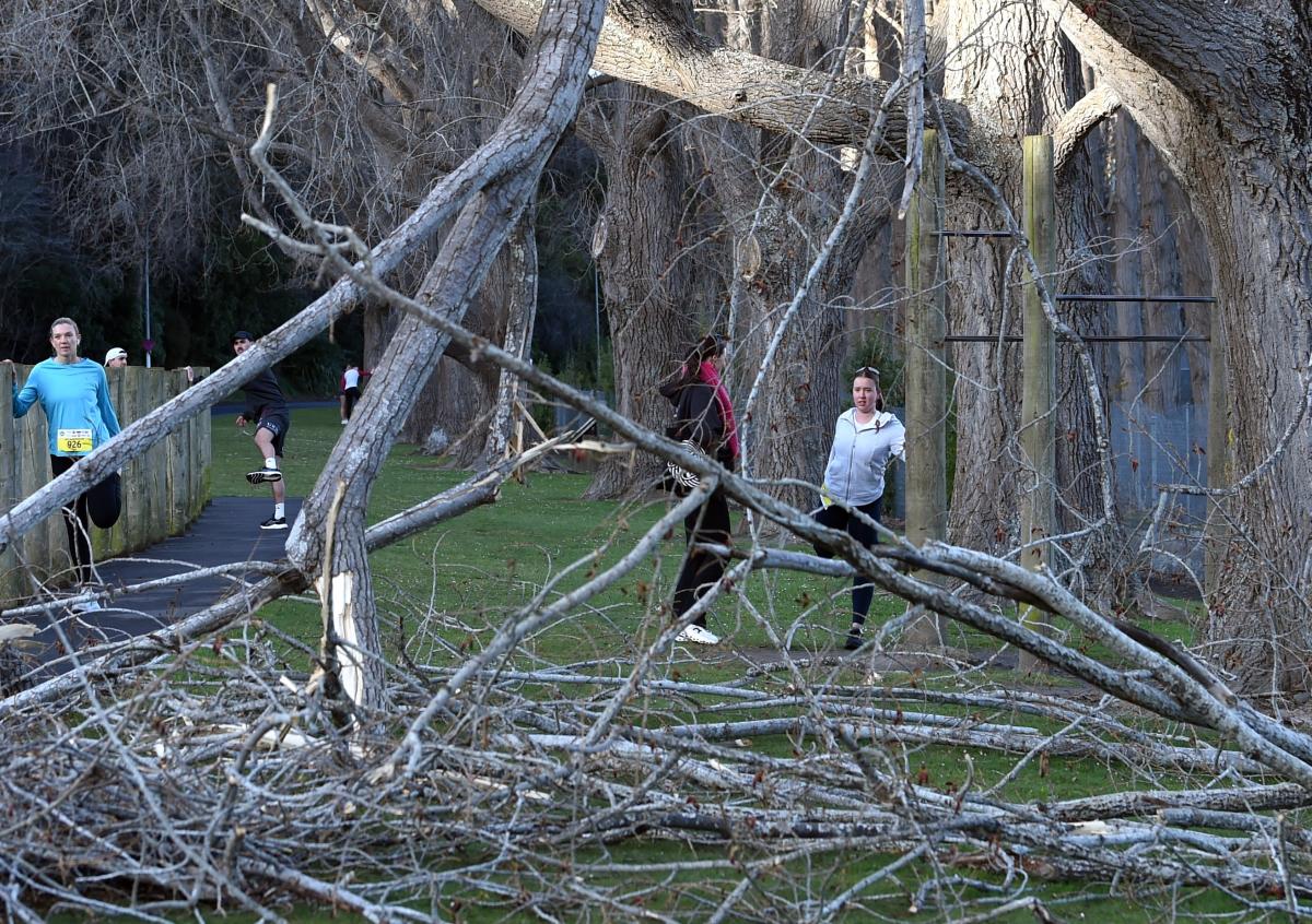 Strong winds down trees, powerlines