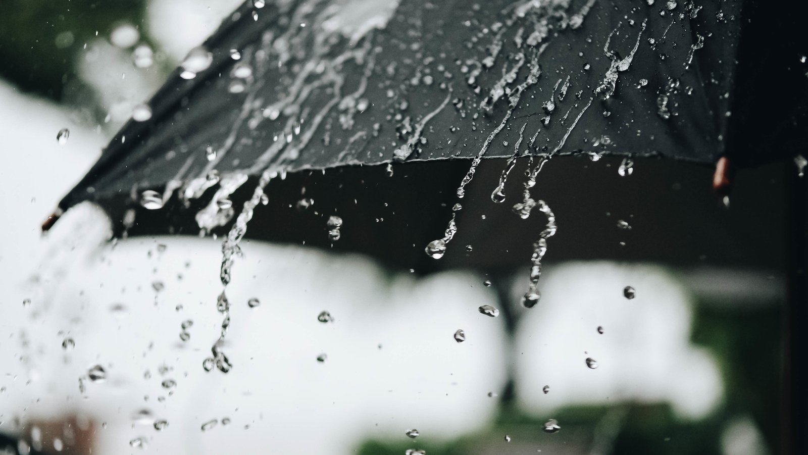 Status Yellow rain warnings issued for three counties