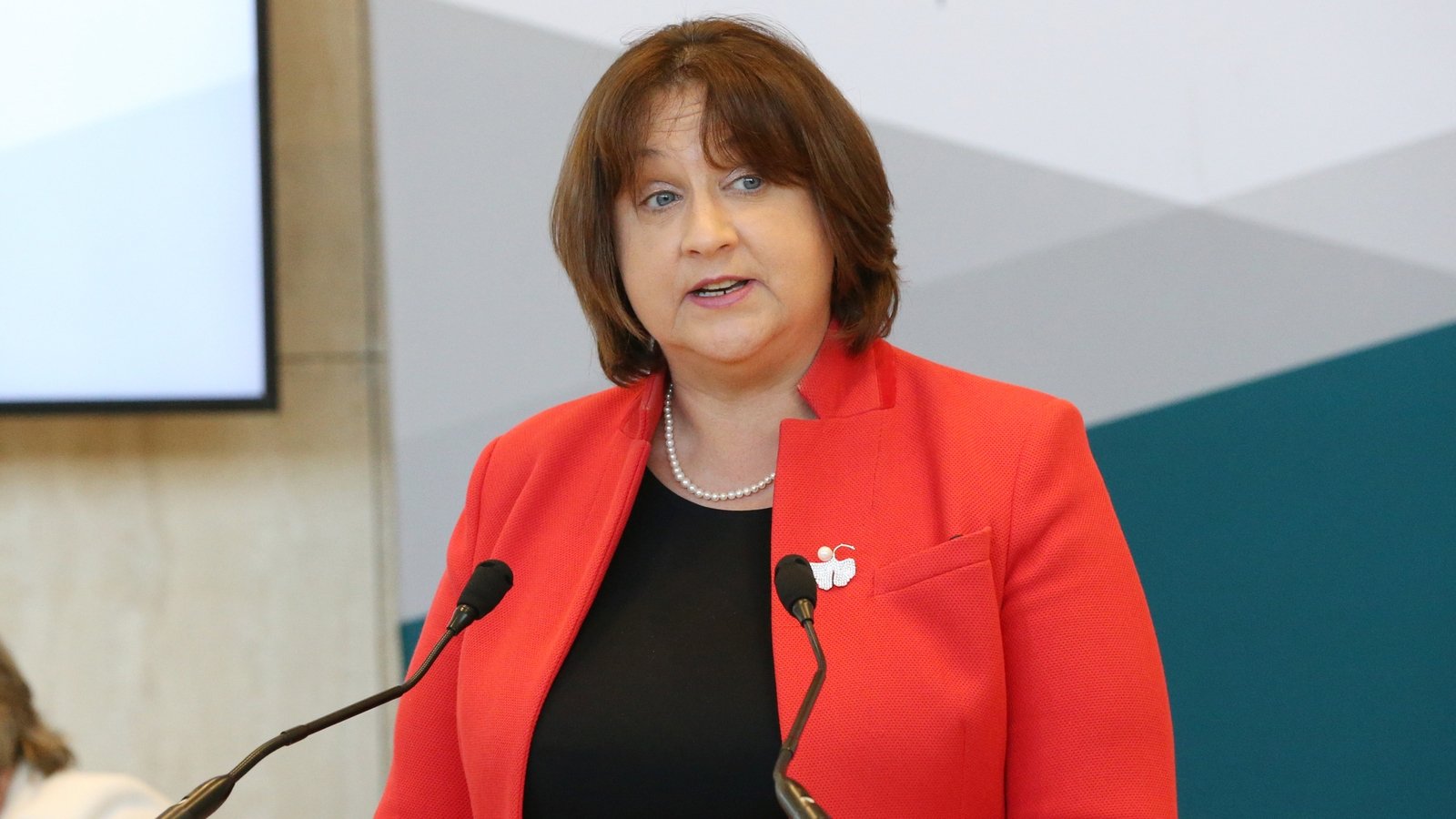 'Huge annoyance' in FF over Áras election