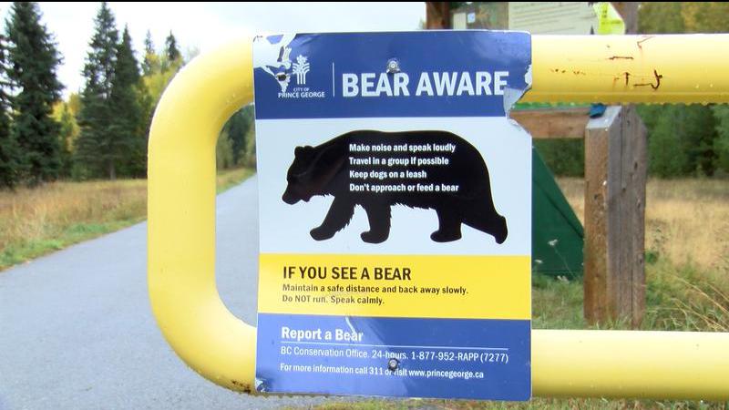 Grizzly bear attack northeast of Prince George prompts trail closures by Conservation Officer Service