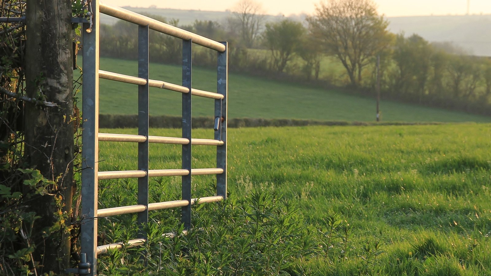 Farmers have 'nothing to fear' over Mercosur deal