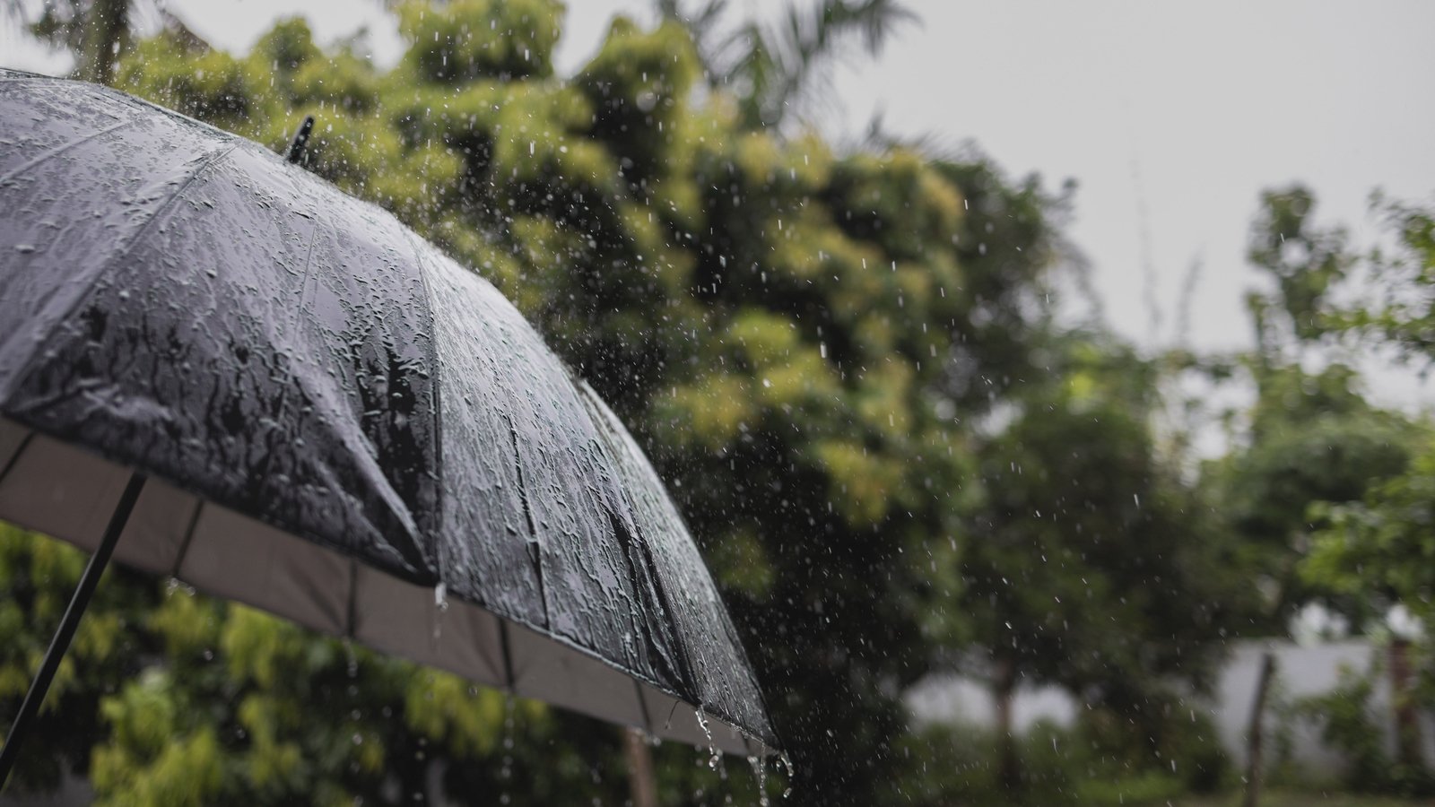 Status Yellow warning in place across several counties