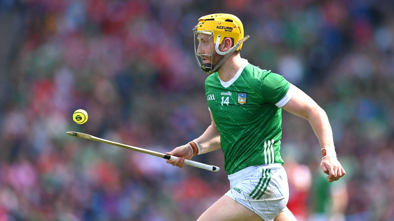Flanagan cut from Limerick panel for 2026