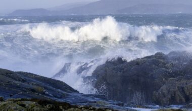 Met Éireann avoided using candidates' names for storms