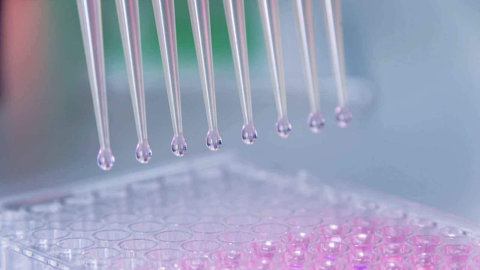 Bowel cancer study finds ways to reactivate immune system