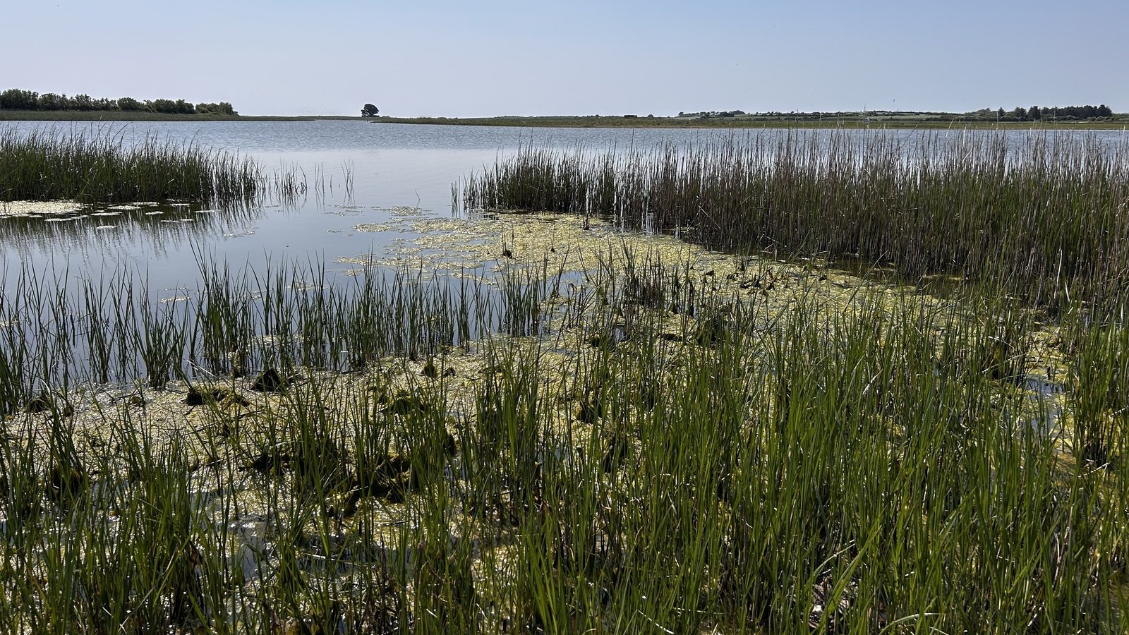 Quality of surface water continues to decline, says EPA