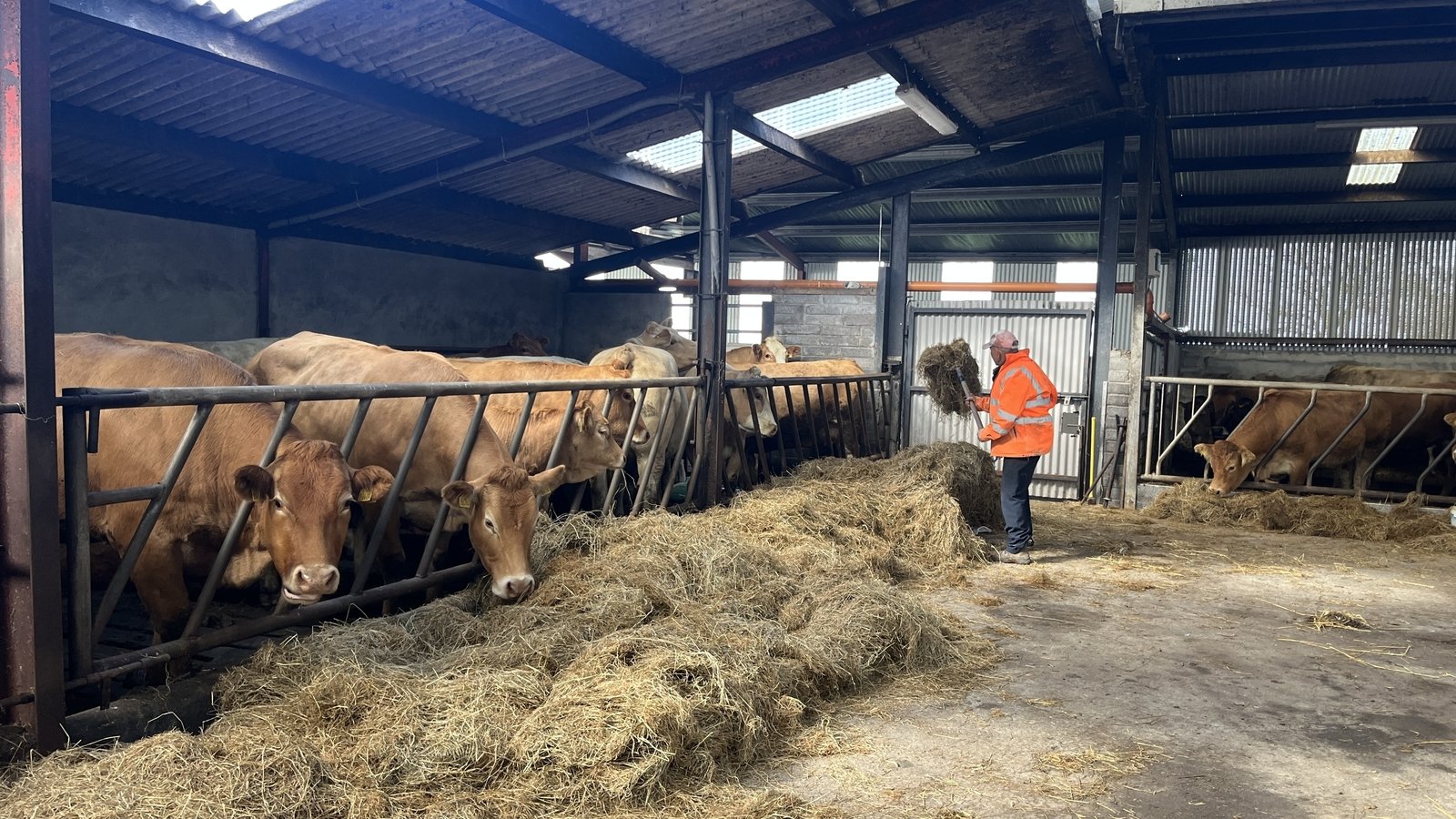 Farmers facing significant costs after Storm Amy flooding